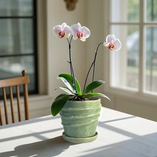 6in Plant Pot, Ceramic Planter, Plant Pots Indoor, Plant Pots with Drainage Holes and Saucers, Flower Pots for Indoor Plants, Bright Green - Image 2