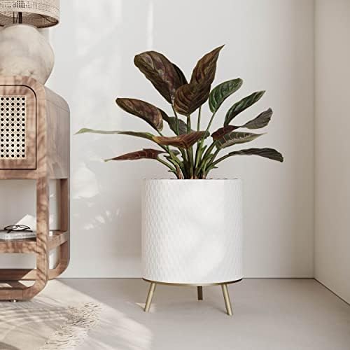 EverNest Claire Honeycomb Neutral White Planter with Nyra Stand, Indoor Plant Pots, SelectBase, Mid-Century Modern, Boho Style Home Decor for Plants (Medium, Gold) - Image 3