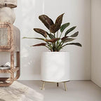 EverNest Claire Honeycomb Neutral White Planter with Nyra Stand, Indoor Plant Pots, SelectBase, Mid-Century Modern, Boho Style Home Decor for Plants (Medium, Gold) - Image 3