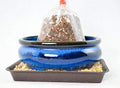6" Oval Dark Blue Glazed Bonsai Pot, Cactus & Succulent Planter + Soil + Tray + Rock + Mesh Kit (638-6B KIT) by Unknown