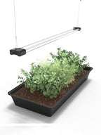 DYMOND Boostgro LED Seed Starter Grow Light 4FT Full Spectrum Linkable 5000k Daylight + 660nm Red + 450nm Blue Indoor Plant Lighting Fixture by DYMOND