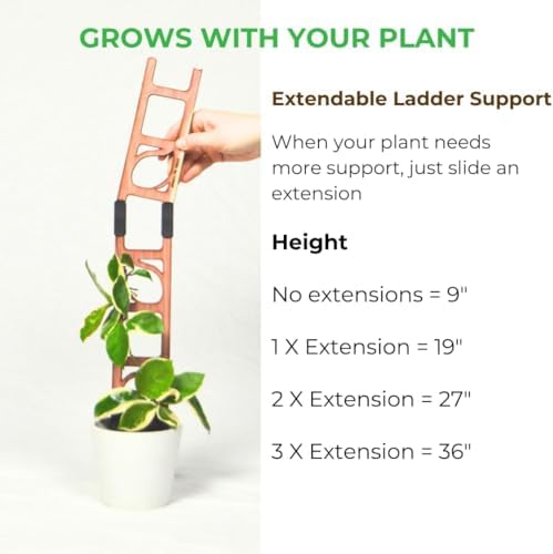 Stella - Modular ladder support - Image 3