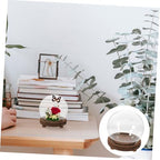DECHOUS Clear Glass Cloche Dome with Wooden Base for Plants Terrarium Display Elegant Keepsake Globe for Preserved Flowers Dust Protection for Home Decor - Image 7