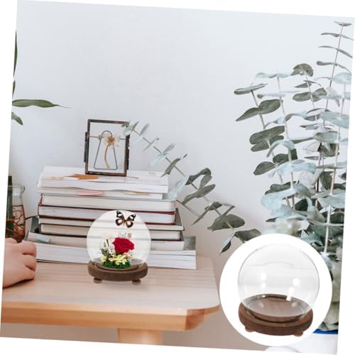DECHOUS Clear Glass Cloche Dome with Wooden Base for Plants Terrarium Display Elegant Keepsake Globe for Preserved Flowers Dust Protection for Home Decor - Image 7