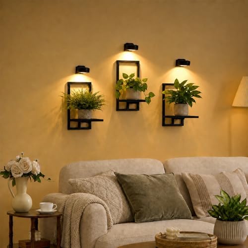 Wall Plant Holder with Grow Lights, Picture Frame Plant Shelves (3, Black) - Image 2