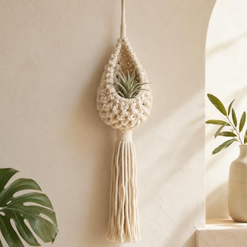 Hanging Air Plant Holder, Boho Woven Basket Wall Decor (Small) by Unknown