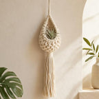 Hanging Air Plant Holder, Boho Woven Basket Wall Decor (Small) by Unknown