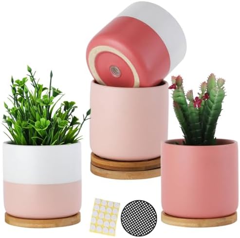 4 Inch Ceramic Plant Pots with Drainage Holes, Small Contrast Style Flower Planter Pot with Tray for Indoor Plants, Succulent, Snake Plants, Cactus & Herbs, Set of 4 by TAMAYKIM