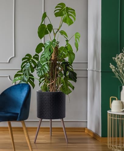 D'vine Dev Planter Pot with Wood Stand, 16 in, Matte Black, 88-Z-E-2 - Image 2