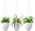 Self-Watering Hanging Planter Pot, Indoor Outdoor Plants, 6 Inch, 3 Pack by Unknown