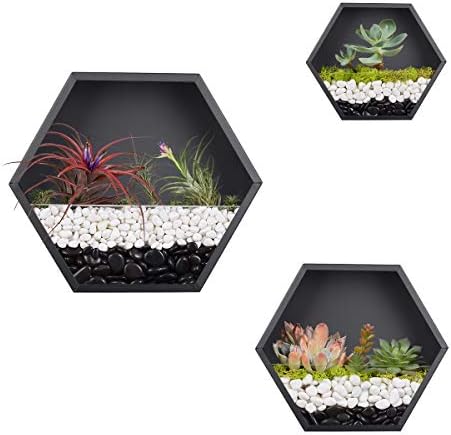 Hanging Hexagon Basket Hanging Wall Planters Metal Vase Retro Air Plant Holder Vintage Flower Pot Iron Geometric Planter Succulent Cactus Container for Wall Decor, Mixed Set of 3 (Black) by EssenceLiving