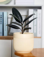 Ceramic 5.2+6.5 inch Planters, Modern Home and Office Flowerpot, Indoor and Outdoor Flowerpot with Drainage Hole (Yellow) - Image 4