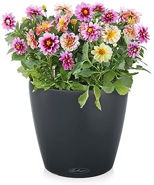 Lechuza Classico Color 21 Slate, Self-Watering Small Round Planter, D8.3 H7.9 in - Image 2