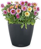 Lechuza 13244 Classico Color 43 Self-Watering Planter for Indoor and Outdoor Use, 17" x 17" x 16", Slate Matte - Image 2