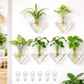 Yungyan 6 Pack Wall Mounted Glass Planter Borosilicate Glass Diamond Hanging Vase with Hidden Invisible Hook Hydroponic Plant Propagation Station Clear Wall Planter for Home Bathroom Office Decor by Yungyan