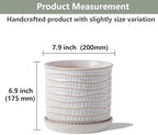 8 Inch Ceramic Plant Pot with Drainage Hole & Separate Saucer - Image 2