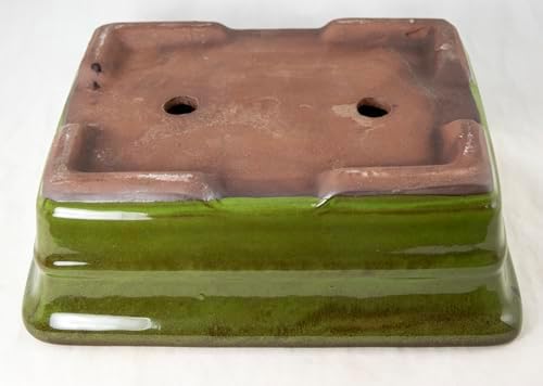 Rectangular Moss Green Bonsai, Cactus, Succulent Pot 10x 8x 3.25 Tray Mesh - Image 4