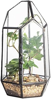 NCYP Small 5.1" x 5.1" x 8.66" Irregular Geometric Glass Terrarium Planter with Door - Home Tabletop Display Container Pot for Moss, Fern - Indoor Clear Decor, Black (No Plants) by NCYP