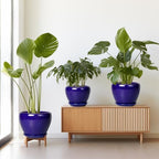 Flower Pots for Indoor Plants- Ceramic Pots for Plants 10 Inch 8 Inch 6 Inch Plant Pots with Drainage Holes and Saucers Decorative Large Planters for Outdoor Plants Set of 3 Blue - Image 7