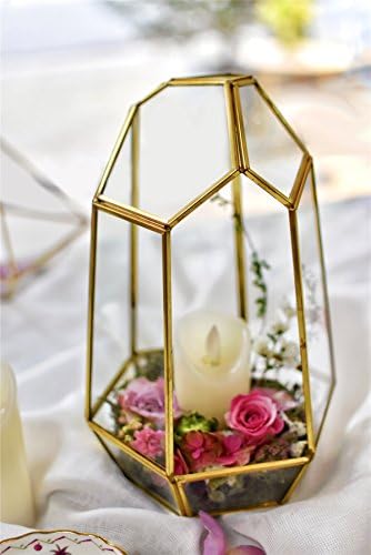 NCYP NO Door Gold Geometric Glass Terrarium for Succulent Air Plants - Image 3