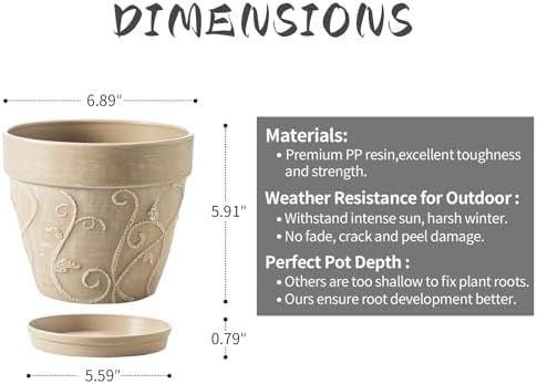 Indoor Plant Pots and Succulent Tools - Image 5