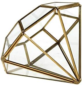 WGV Geometric Planter Terrarium, Width 5.3" Height 6" Clear Glass Gold Frame DIY Succulent air Plant Miniature Fairy Garden Windowsill Tabletop Decor, Diamond 1 Piece by WGVInternational-OpusGlassware