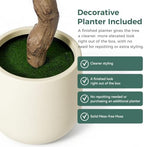 6FT Faux Olive Tree with Decorative Planter, Olive Trees Artificial Indoor with Textured Trunk, Silk Leaves and Olive Fruits, Fake Plants for Living Room, Entryway and Office Decor - Image 6