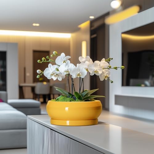 Succulent Pots 10 Inch - Ceramic Bonsai Pots with Drainage Hole and Tray, Shallow Plant Pot Indoor Outdoor, Modern Bonsai Tree Pot, Round Planter Bowl, Home Decor, Housewarming Gift, Yellow - Image 5