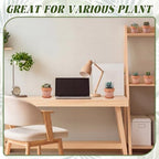 Maxdot Set of 6 Embossed Succulent Pots 4" Small Terracotta Pot, Leaf Style - Image 5