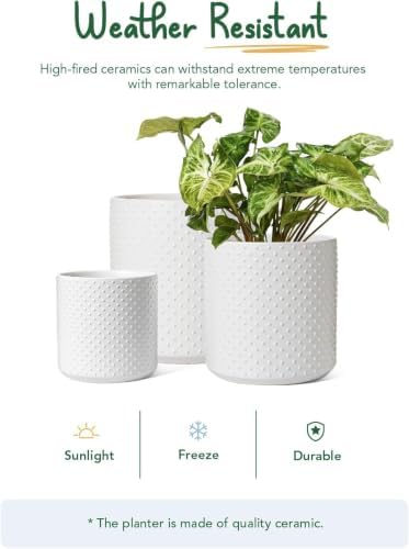 LE TAUCI 10+8+6 Inch Ceramic Pots for Plants, Indoor Planters with Drainage Hole and Plug, Raised Dots Cylinder Flower Pots Set of 3 for Living Room and Bedroom, Matte, White - Image 3