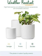 LE TAUCI 10+8+6 Inch Ceramic Pots for Plants, Indoor Planters with Drainage Hole and Plug, Raised Dots Cylinder Flower Pots Set of 3 for Living Room and Bedroom, Matte, White - Image 3