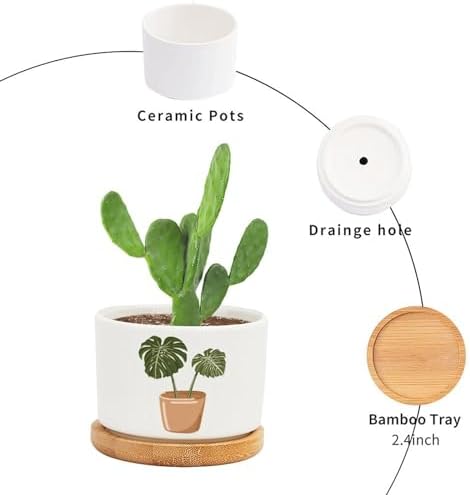 DreamAutumn Pack of 3 Plants Planter Ceramic Round Plant Pots with Drainage Holes and Bamboo Tray Planting Small Flower Pots for Home Windowsill Desk Garden Indoor Outdoor Use - Image 3