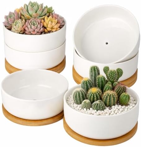 ZOUTOG 6 Pack 6" Ceramic Succulent Pots, White Planters with Drainage Tray by ZOUTOG