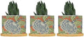 Navy Blue Floral White Ceramic Planters Green and Orange Chinoiserie Flower Pots for Indoor Plants with Drainage Holes and Saucers Pot for Outdoor Garden Home Plant by BRUYU5SE