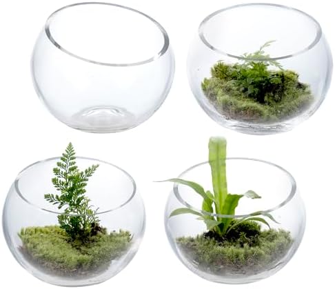 MyGift 5 Inch Clear Glass Round Bowl Air Plant Terrariums, Set of 4 by MyGiftHome