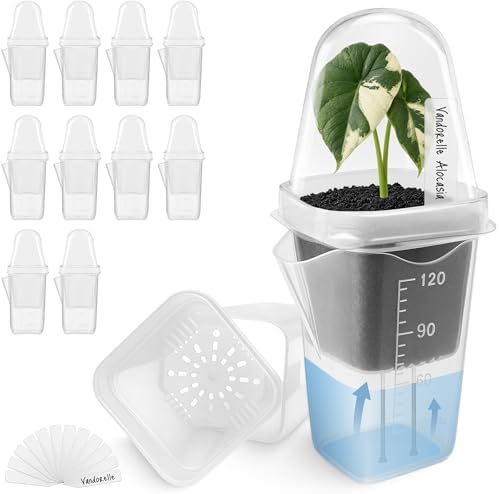 12 Pack 2" Small Clear Self Watering Pots with Humidity Dome for Indoor Plants, Seed Starter Cups, Tissue Culture Acclimation Kit,Alocasia Corm Propagation,African Violet,Cuttings,Seedlings by Vandorelle