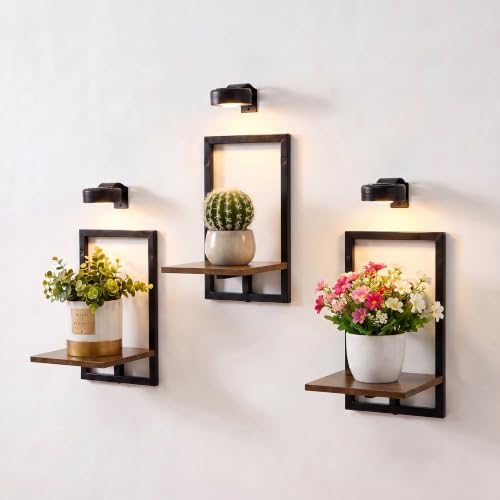 Wall Plant Holder with Grow Lights, Picture Frame Plant Shelves (3, Brown) by Orvado