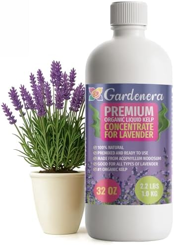 GARDENERA Premium Organic Seaweed & Kelp Superfood for Lavender Plants - 32 oz - Liquid Kelp Fertilizer Concentrate (Makes 180 Gallons) by Gardenera