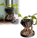 Modern Organic Branching Pot Geometric Planter with Drainage TrayModern Organic Branching Pot – Geometric Planter with Twisting Branch Base & Integrated Drainage Tray (White+Black) by Unknown