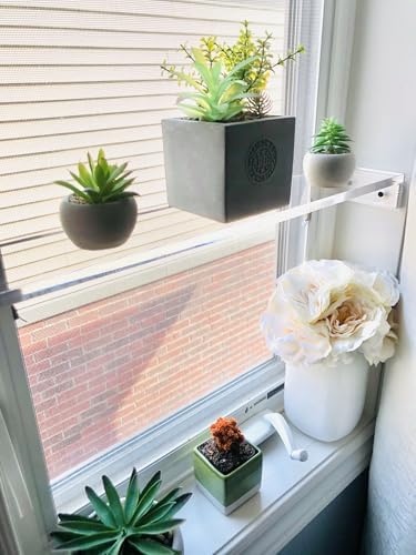 DistinctAndUnique Floating Window Shelf 30", 1 Pack – Crystal Clear Acrylic Floating Shelves for Plants Indoor, Succulent and Trinkets, Acrylic Shelf Display, Window Plant Shelves for Indoor Garden by DistinctAndUnique