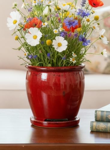 Serene Spaces Living Sora Red Ceramic Planter, Indoor Plant Pot with Built-in Saucer, Glaze Flower Pot for Houseplants, Herbs, Succulents, Home or Office Décor, 7" Diameter & 7" Tall, Pack of 6 - Image 3