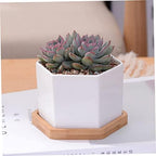 BESPORTBLE White Hexagonal Ceramic Succulent Pots, 2 Sets with Bamboo Tray - Image 7