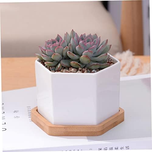 BESPORTBLE White Hexagonal Ceramic Succulent Pots, 2 Sets with Bamboo Tray - Image 7