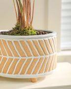 Fayoula Succulent Pots, 6 Inch Planters with Drainage Hole, Modern Indoor Plant Pots for Succulents, Herbs, Aloe, Snake Plant - Ceramic Home Décor, Set of 2 - Image 5