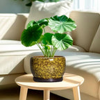 SQOWL Ceramic Flower Pots - 8 inch Ceramic Planter for Indoor Plants, Decorative Plant Pots with Drainage Hole and Saucer, Round Planter Outdoor, Porch Backyard Decor, Housewarming Gifts, Yellow - Image 2