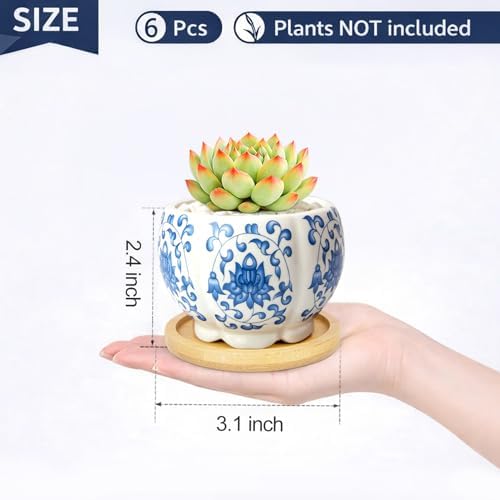 3.1 Inch Flower Pots Succulent Pots with Drainage Bamboo Tray Set of 6 - Image 3