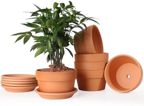 INGOFIN 5 Inch Terracotta Shallow Pots Set with Saucer - Ceramic Clay Pots with Drainage Hole, Terra Cotta for Plants for Indoor Outdoor Plants, Set of 6 by INGOFIN