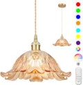 Battery Operated Pendant Light,Amber Chandelier RGB Light Bulb 2500mAh 11in Vintage Light Fixtures with Remote Control Wireless Adjustable Rechargeable Chandelier for Kitchen Island Hallway 1Light by Loiogohot