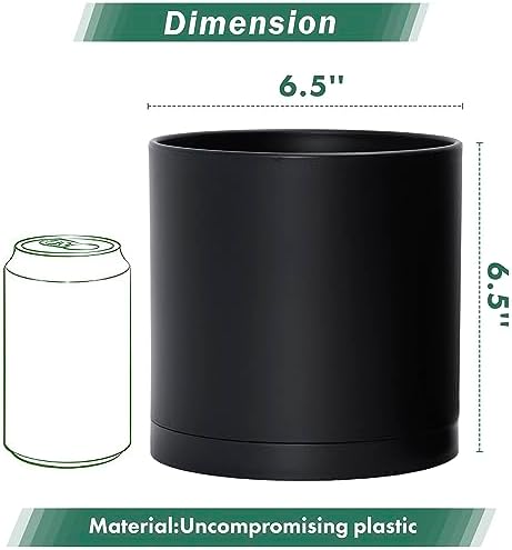 D'vine Dev 2-Pack Black Plastic Planters with Saucers, 6.5 in, 74-Y-L-1 - Image 2