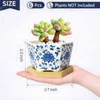 Succulent Pots, 3.7" Small Plant Pots with Drainage Tray, 6 Pack Small Planters for Indoor Plants, Ceramic Flower Pots for Cactus, Mini Succulents, Home Decor, Vintage Blue - Image 3